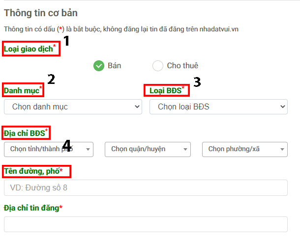 Giao diện thông tin cơ bản