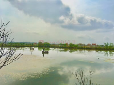 Cho thuê ao nuôi tôm cá diện tích 1 ha gần Cầu Ca Cút, Hương Phong
