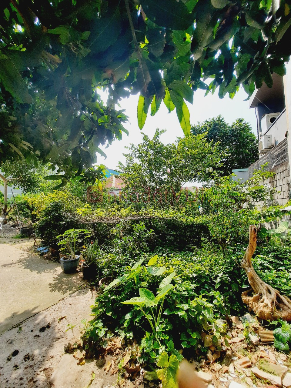 Sót lô đất đẹp 104,4m2 ngang 4.5 không lộ giới đường xe tải ngay chợ Xuân Hiệp Linh Xuân chỉ 43tr/m2