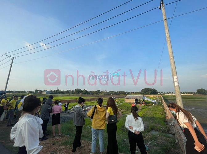 Bán lô đất nền khu vực dự án - Quốc Lộ 22 - cao tốc Mộc Bài - TP.HCM.