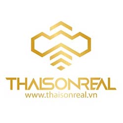Công ty cỏ phần đầu tư dịch vụ Thái Sơn Real